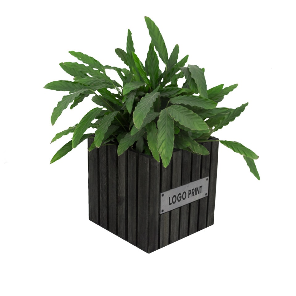 wooden flower crate